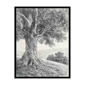 Black and white ancient tree drawing canvas art for calm living room decor.