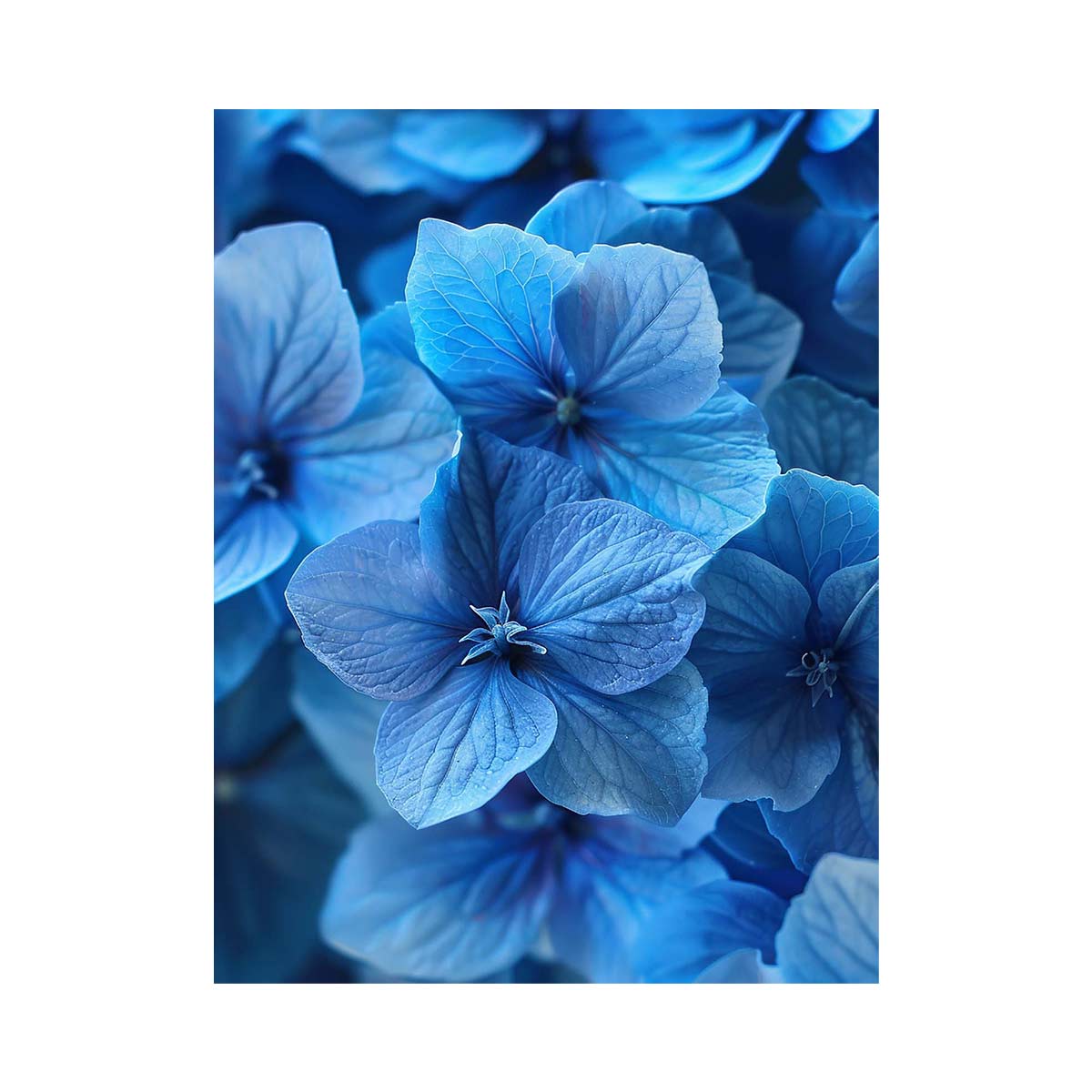 Blue hydrangea floral wall art for calming bathroom decor.