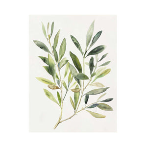 Minimal olive branch botanical print for kitchen wall decor.
