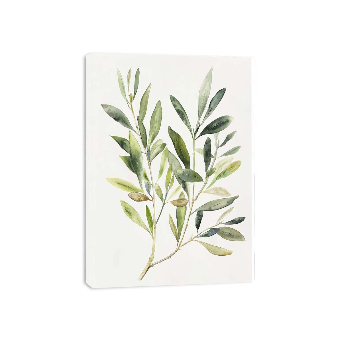 Minimal olive branch botanical print for kitchen wall decor.