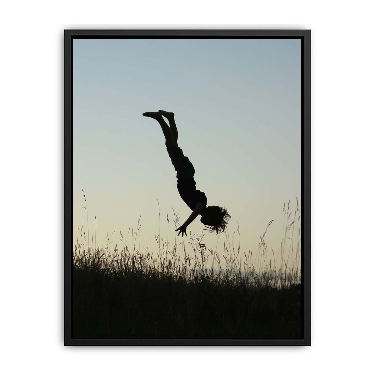 meadow acrobat silhouette canvas print