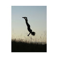 meadow acrobat silhouette canvas print