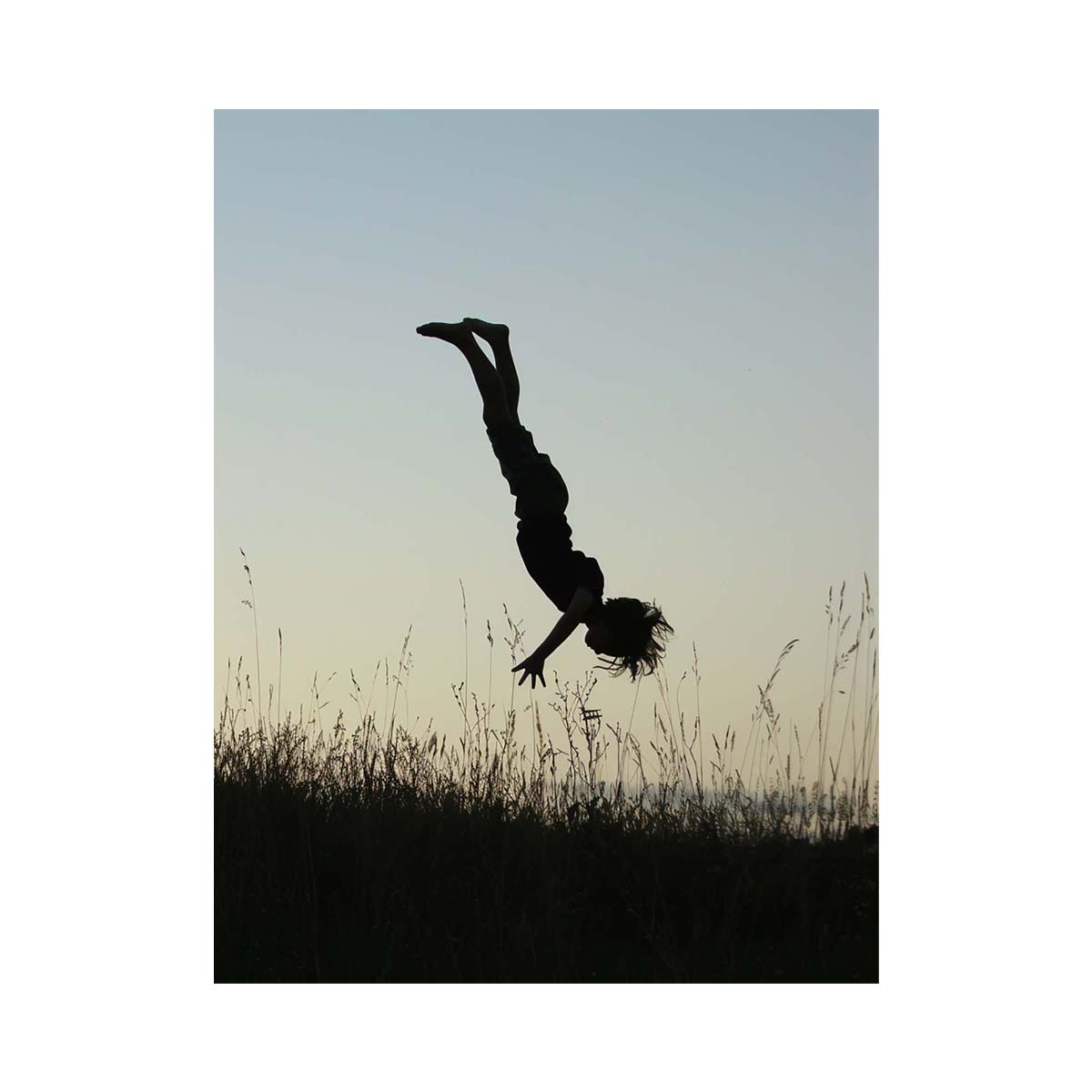 meadow acrobat silhouette canvas print