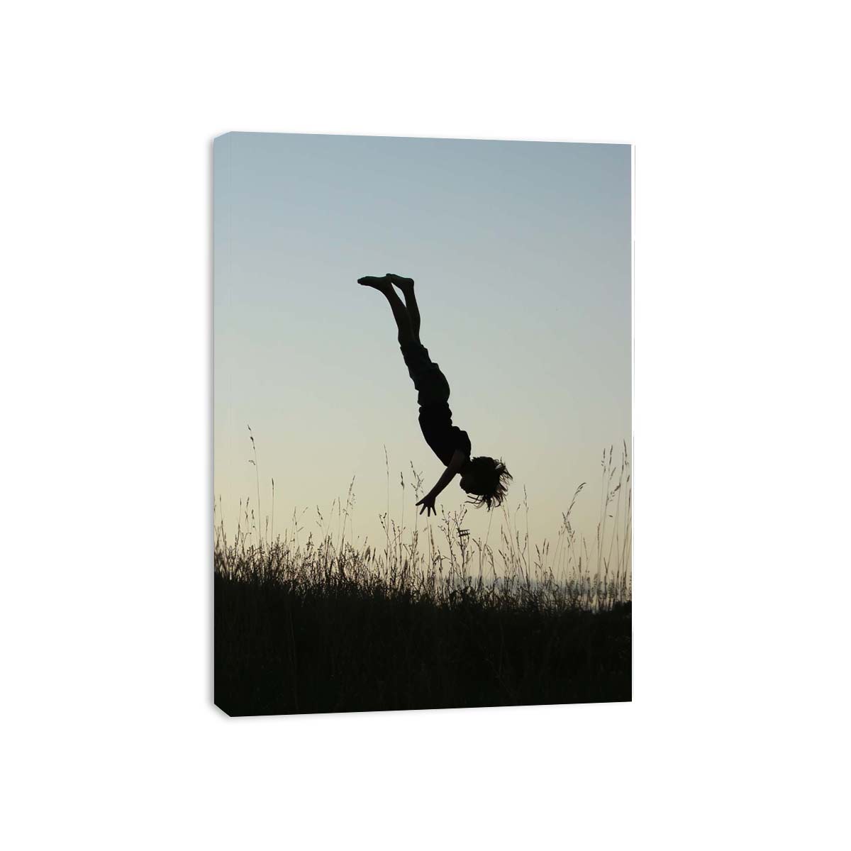 meadow acrobat silhouette canvas print
