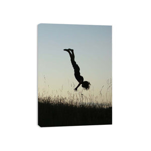 meadow acrobat silhouette canvas print