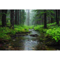 Green forest stream canvas art for calm biophilic living room or office decor.