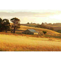 Golden farmhouse barn landscape canvas for warm living room or dining room decor.