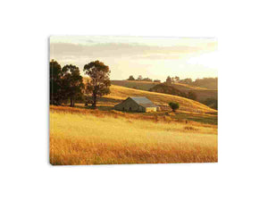 Golden farmhouse barn landscape canvas for warm living room or dining room decor.