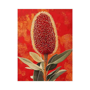 Red banksia botanical canvas art for bold Australian living room decor.