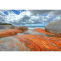Orange lichen coastal rock canvas art for bold modern living room decor.