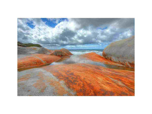Orange lichen coastal rock canvas art for bold modern living room decor.