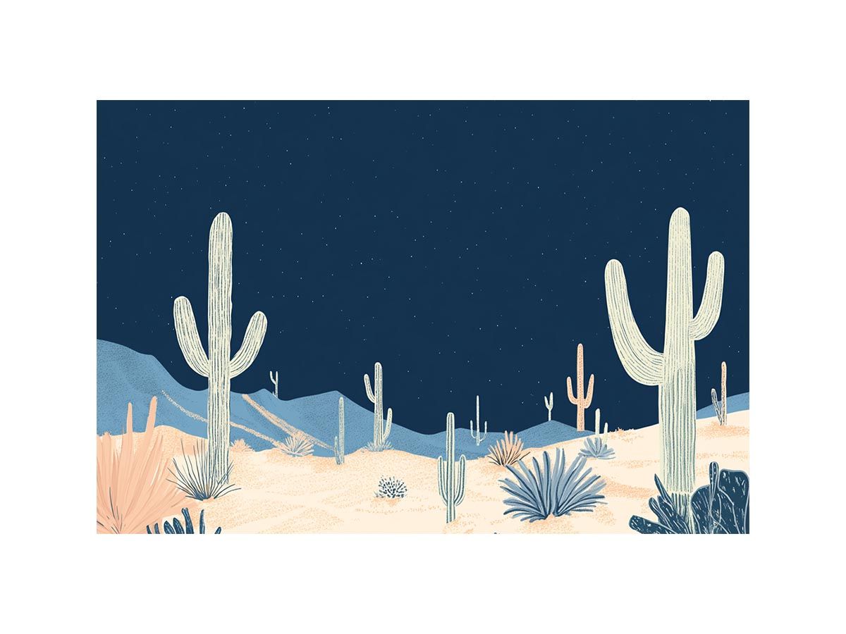 Night desert cactus canvas art with stars and saguaros for modern living room decor.