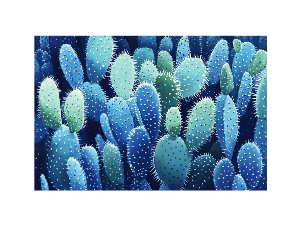 Blue prickly pear cactus canvas art with cool botanical texture for living room decor.