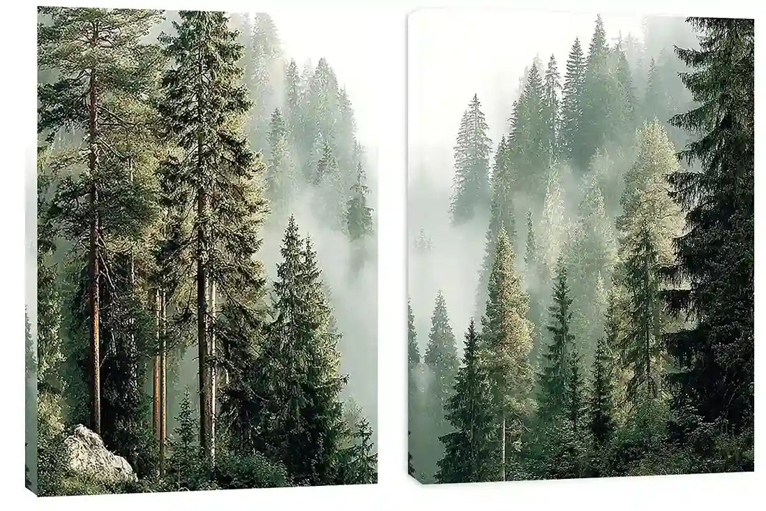 Misty evergreen forest canvas art for calm modern living room decor.