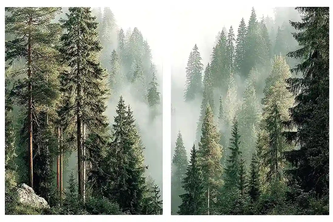 Misty evergreen forest canvas art for calm modern living room decor.