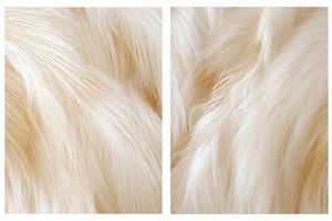 Abstract white horse mane canvas art for neutral luxury bedroom decor.