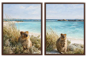 Coastal quokka artwork beside turquoise beach