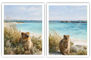 Coastal quokka artwork beside turquoise beach