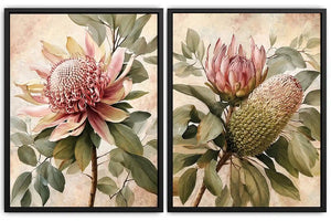 Protea floral botanical canvas art