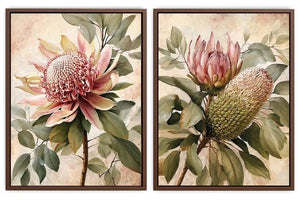 Protea floral botanical canvas art