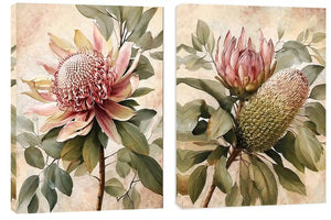 Protea floral botanical canvas art
