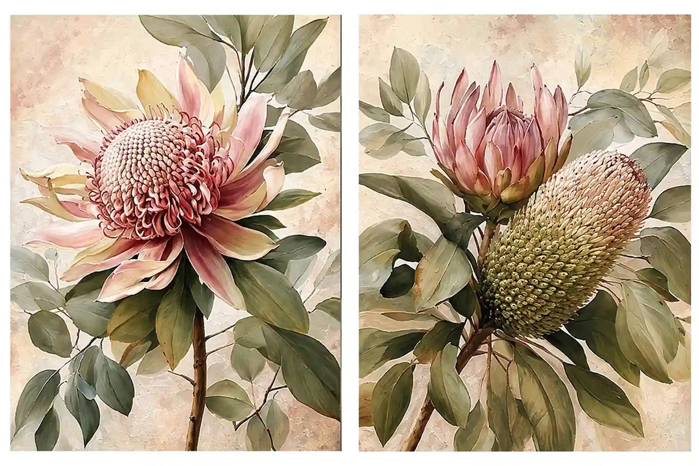 Protea floral botanical canvas art