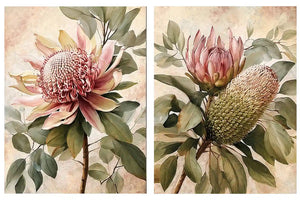 Protea floral botanical canvas art