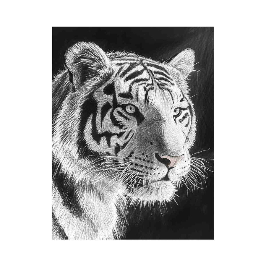 Black and white white tiger canvas art for bold office or living room decor.