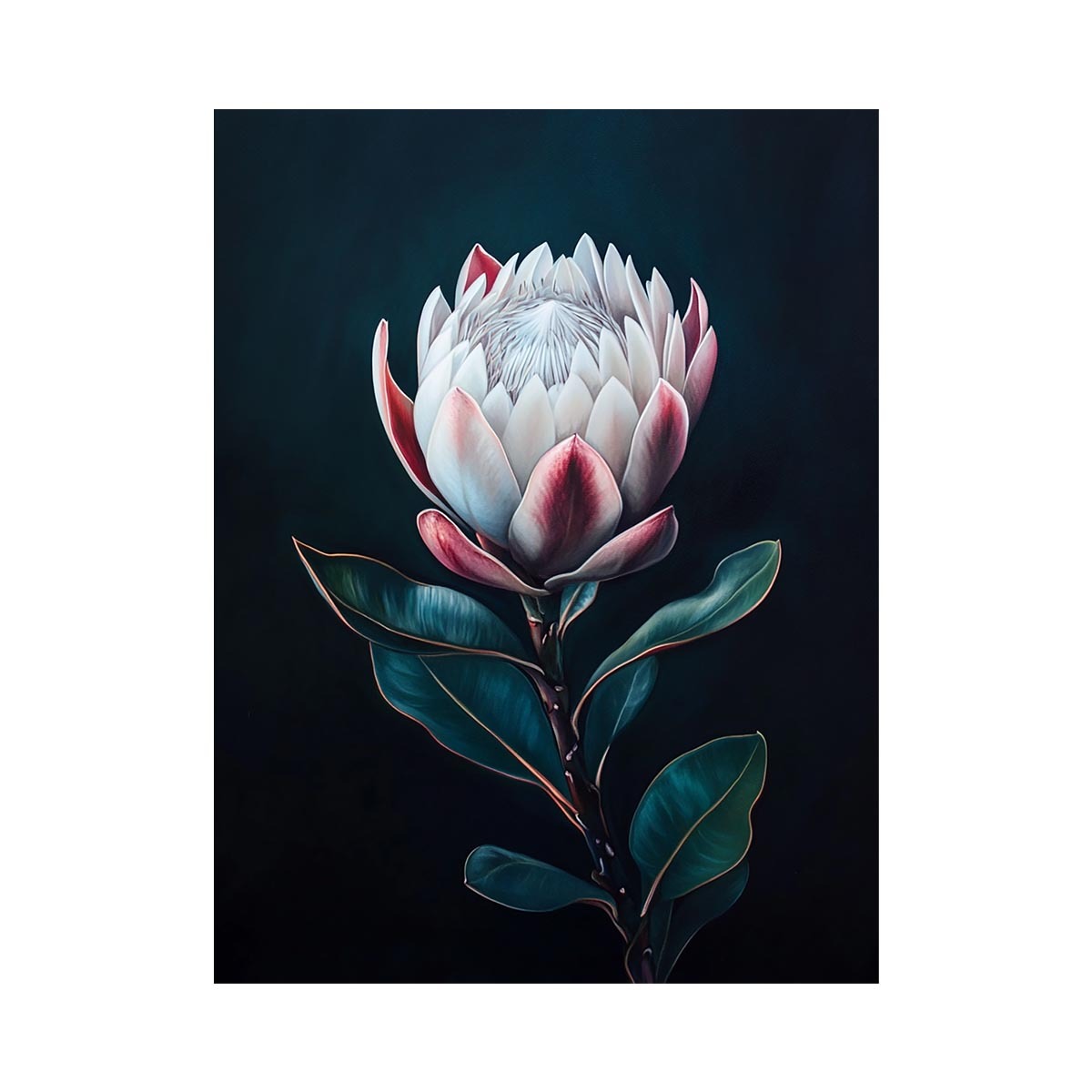 Moody protea flower canvas art with dark background for elegant bedroom decor.