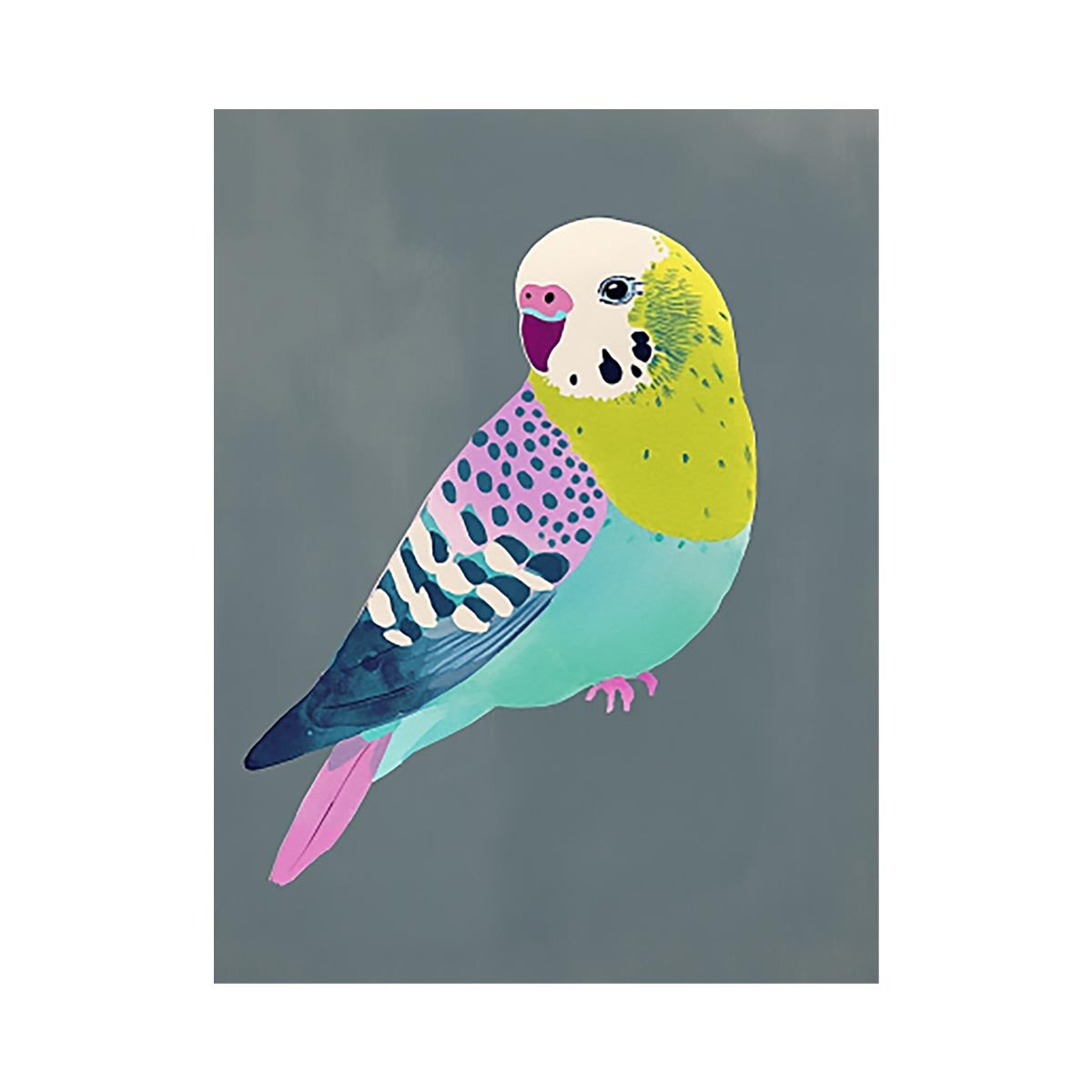Colorful budgie bird illustration wall art for kids room or playful home decor.