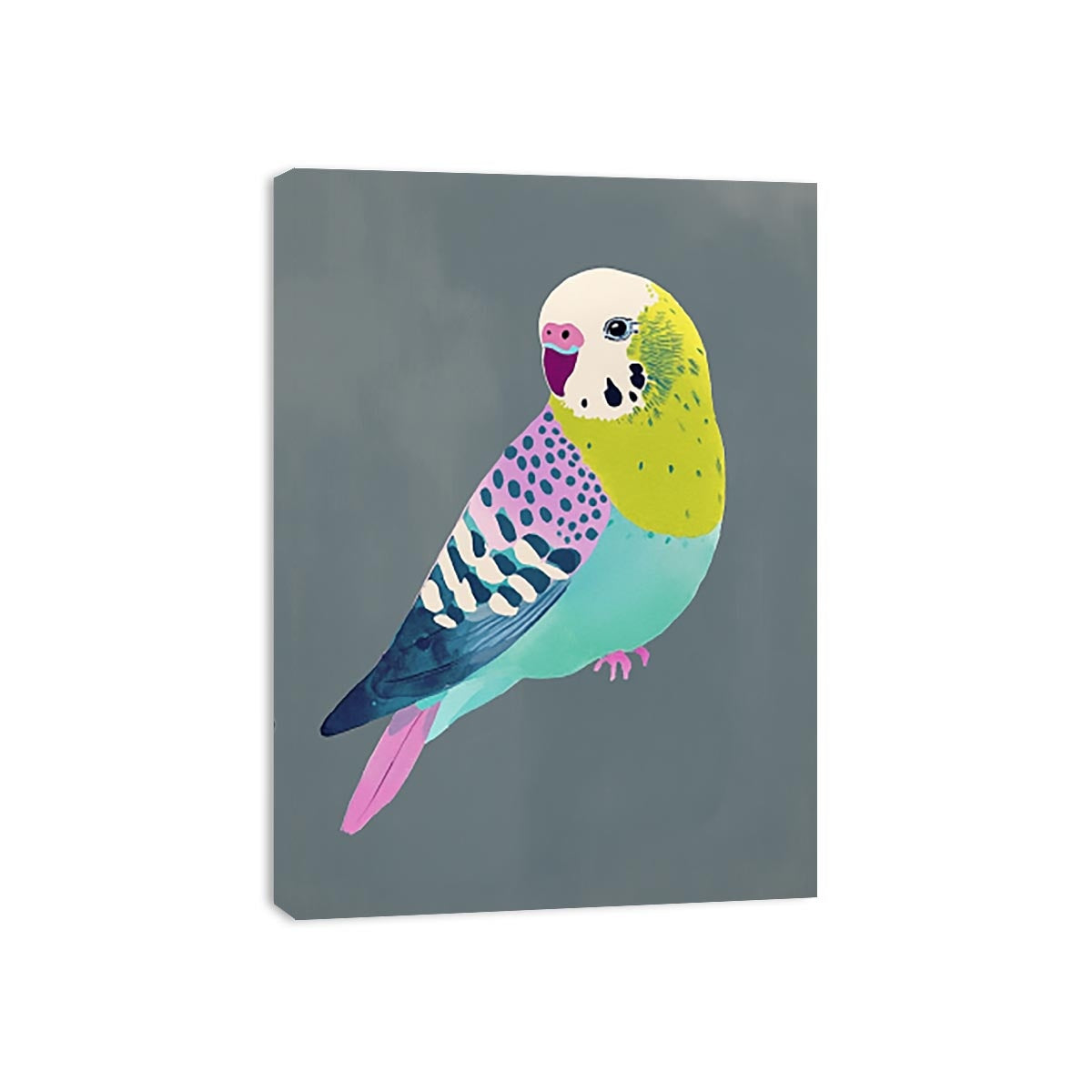 Colorful budgie bird illustration wall art for kids room or playful home decor.