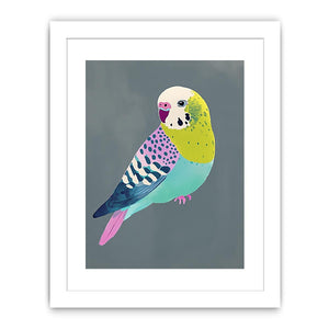 Colorful budgie bird illustration wall art for kids room or playful home decor.