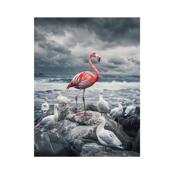 Flamingo On The Rocks