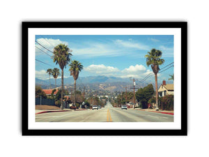 Palm tree boulevard photography for modern office wall decor