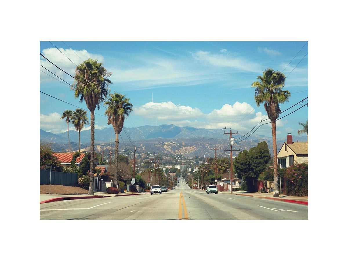 Palm tree boulevard photography for modern office wall decor