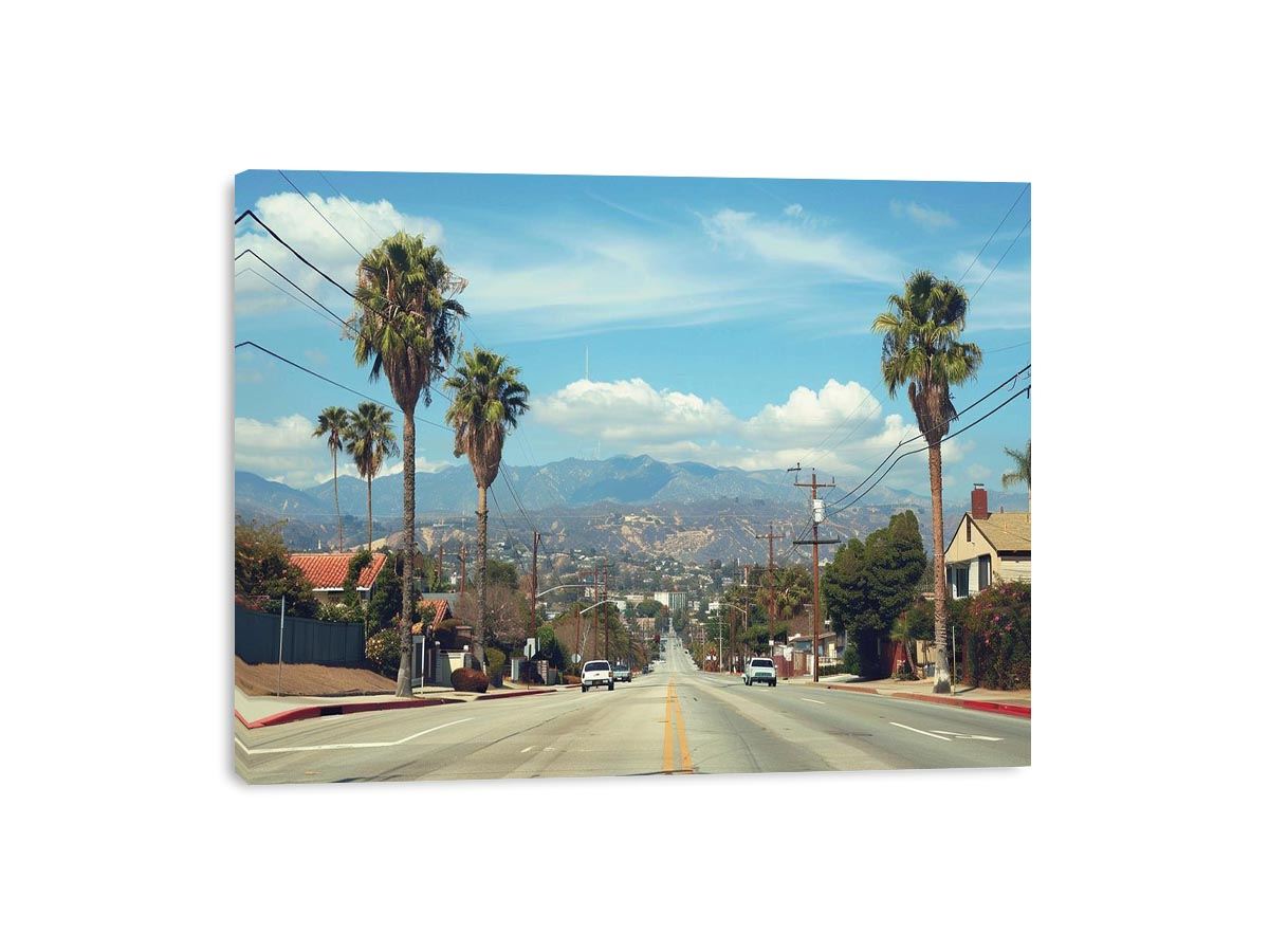 Palm tree boulevard photography for modern office wall decor
