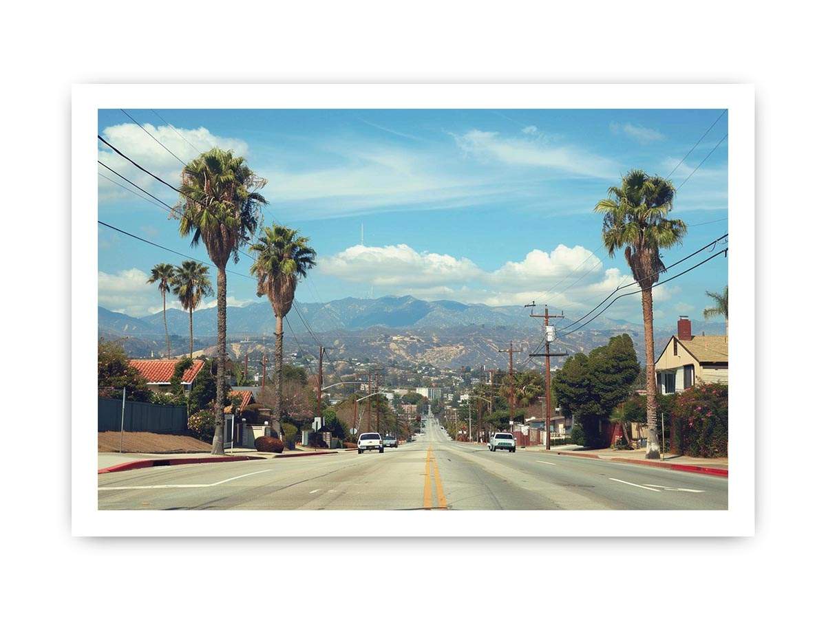 Palm tree boulevard photography for modern office wall decor