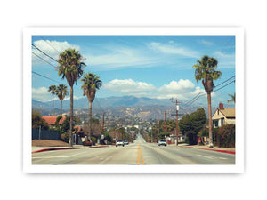 Palm tree boulevard photography for modern office wall decor