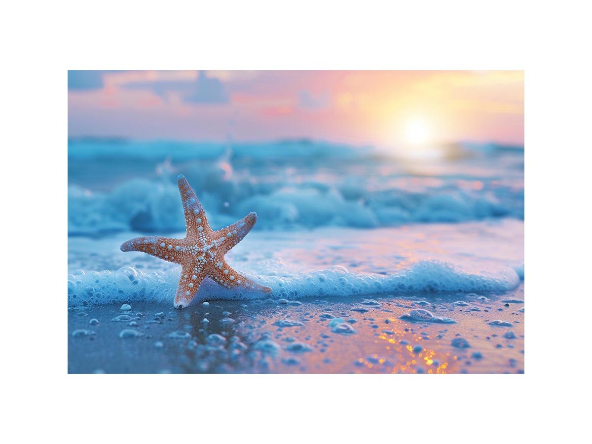 Starfish beach photography for serene coastal bedroom decor