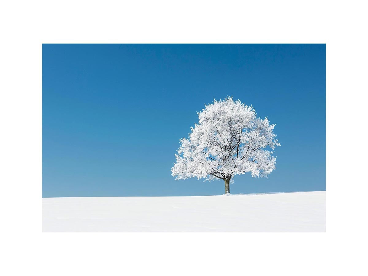 Minimal winter tree canvas art for serene modern living room decor