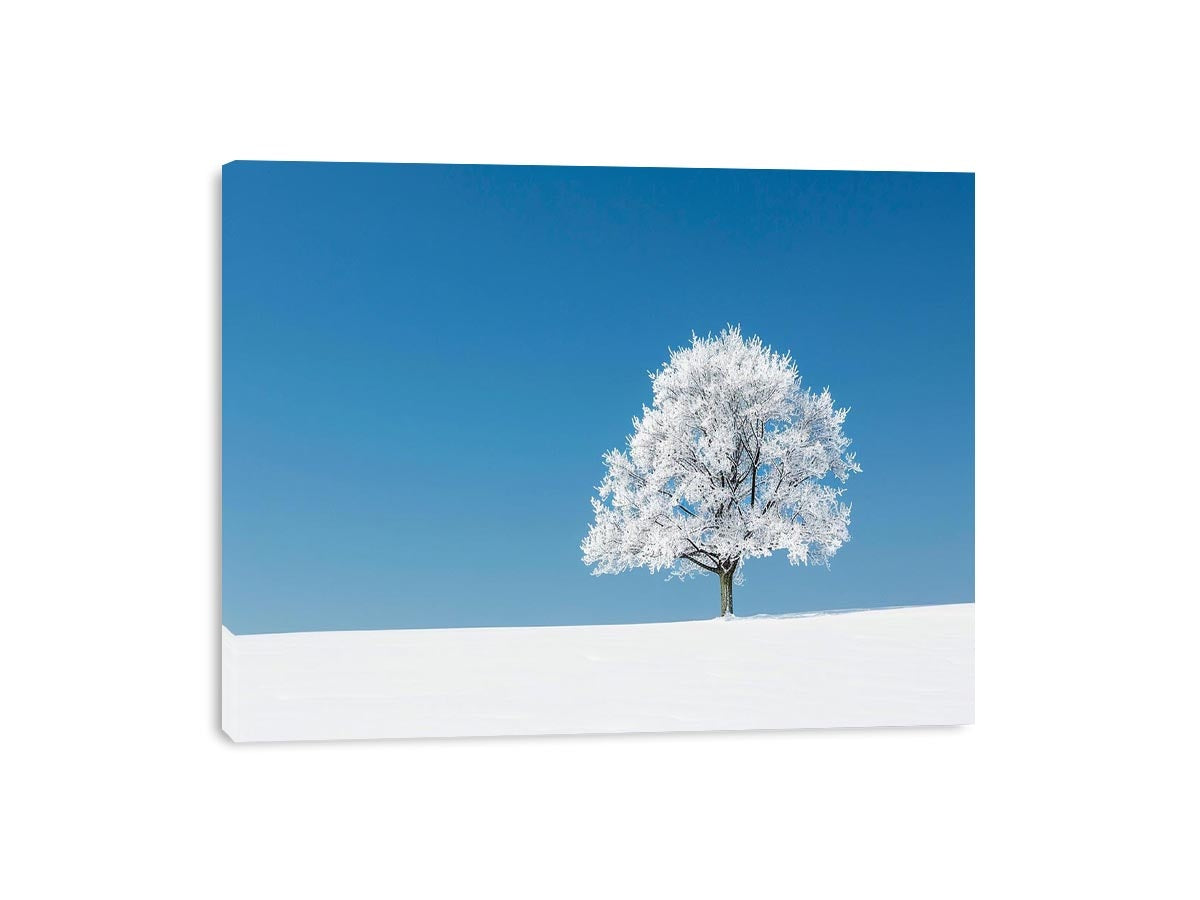 Minimal winter tree canvas art for serene modern living room decor