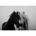 Black and white horse portrait artwork for elegant home decor