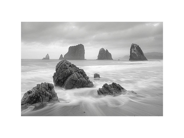 Whispers Of The Coast