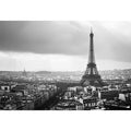Eiffel Tower black and white cityscape artwork for sophisticated interiors