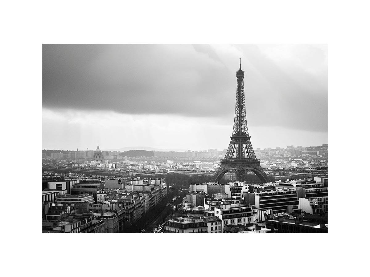 Eiffel Tower black and white cityscape artwork for sophisticated interiors