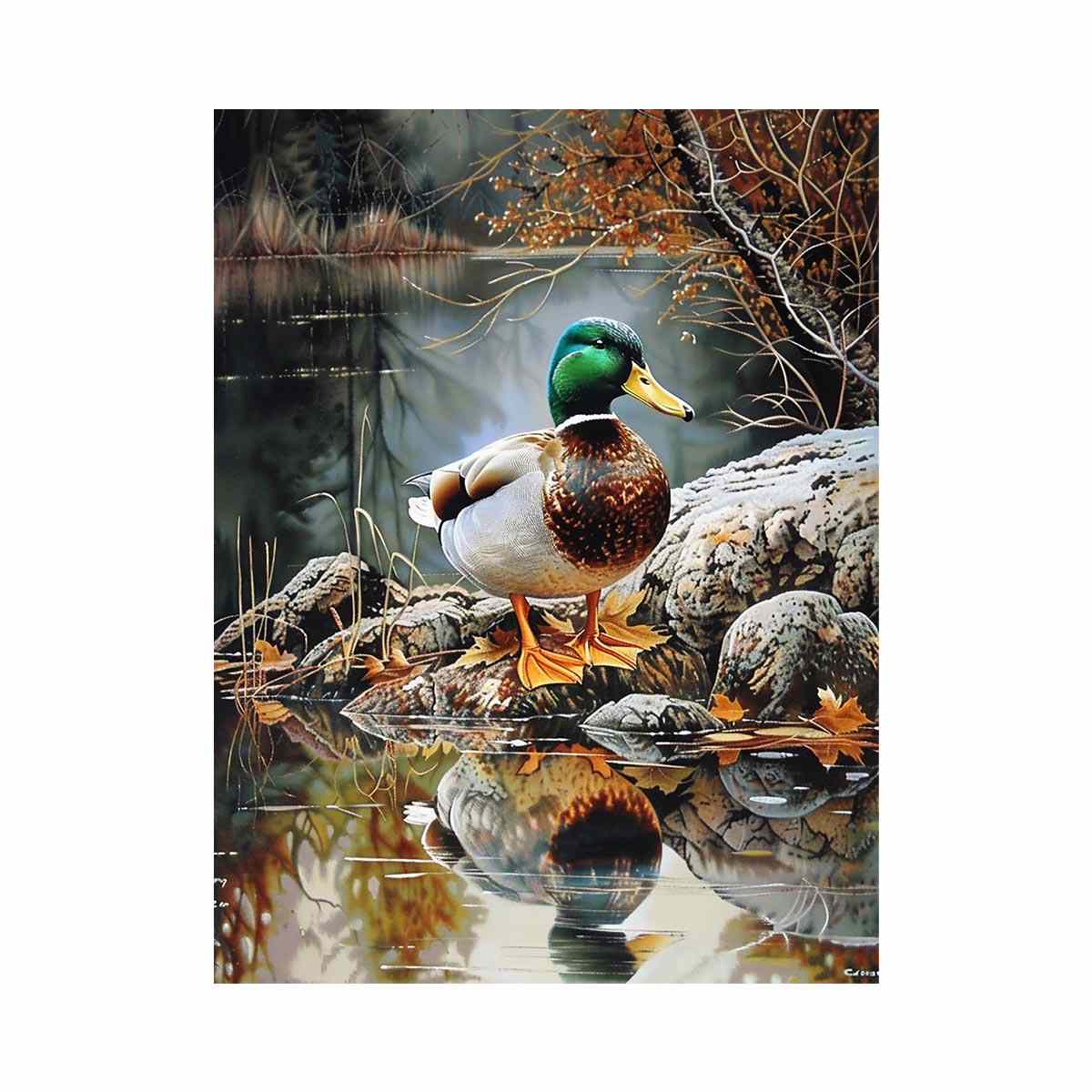 Duck by lakeside reflection artwork for peaceful nature inspired decor
