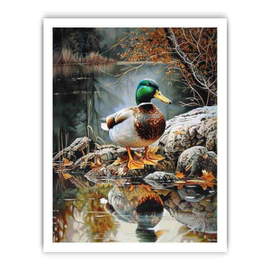 Duck by lakeside reflection artwork for peaceful nature inspired decor