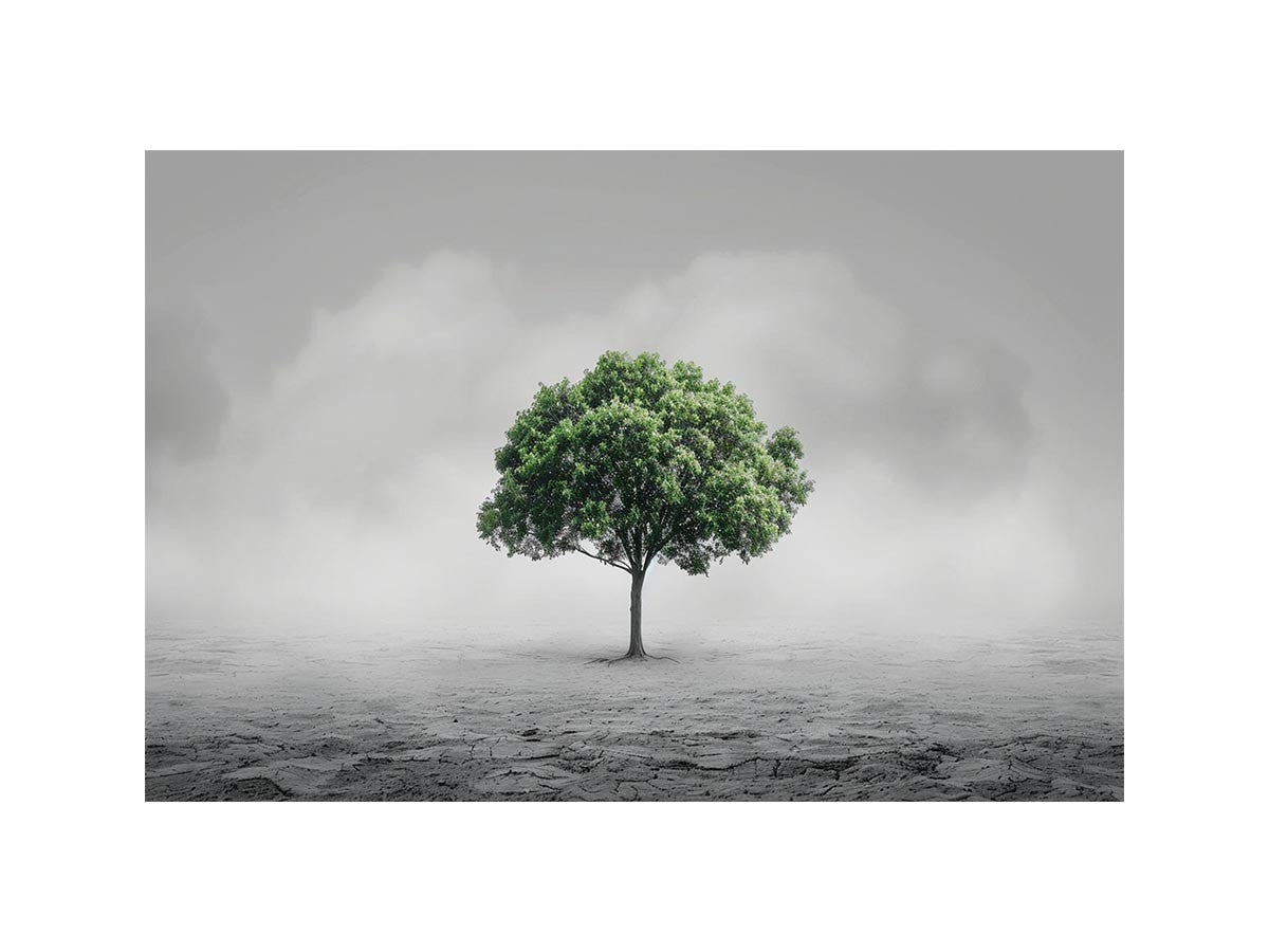 Minimal lone green tree canvas art for calm modern office or living room decor.