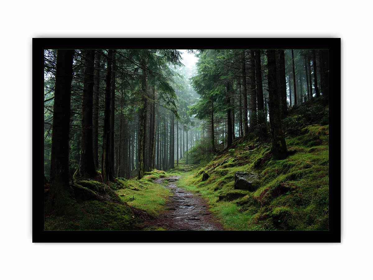 Misty forest path canvas photography for calm green living room decor.