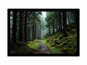 Misty forest path canvas photography for calm green living room decor.